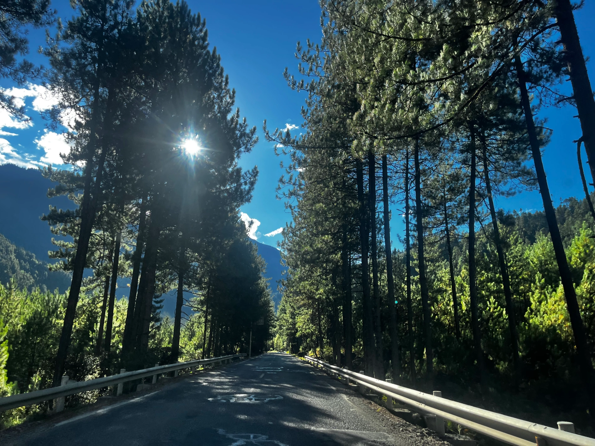 1763908426337 nqsoii