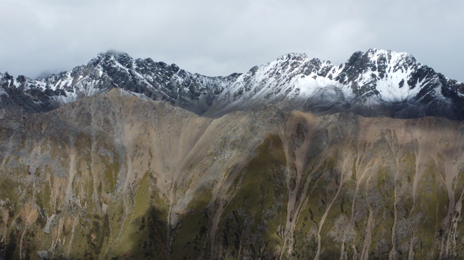 1763993375407 1dbn39