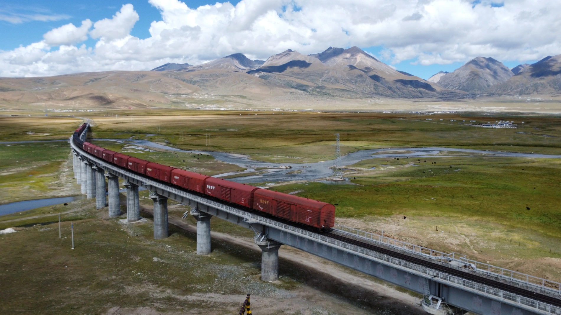 1764034528300 n1ossh