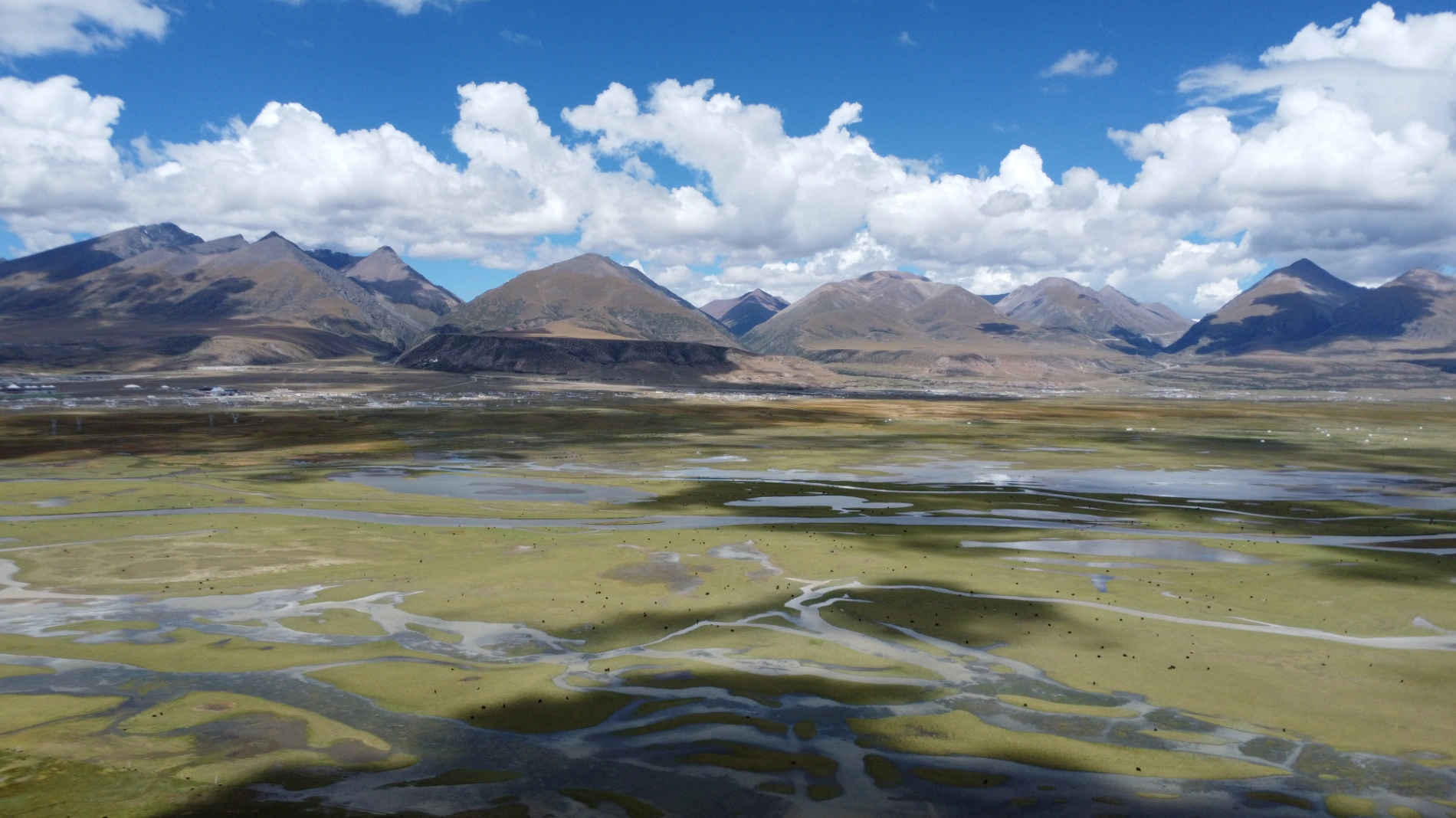 1764034530435 gbbar8