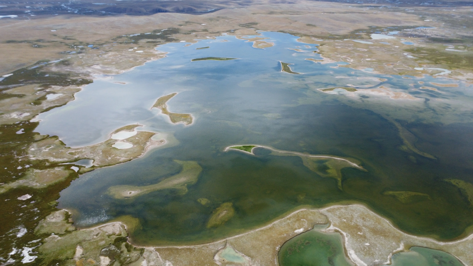 1764034536515 v37pmg