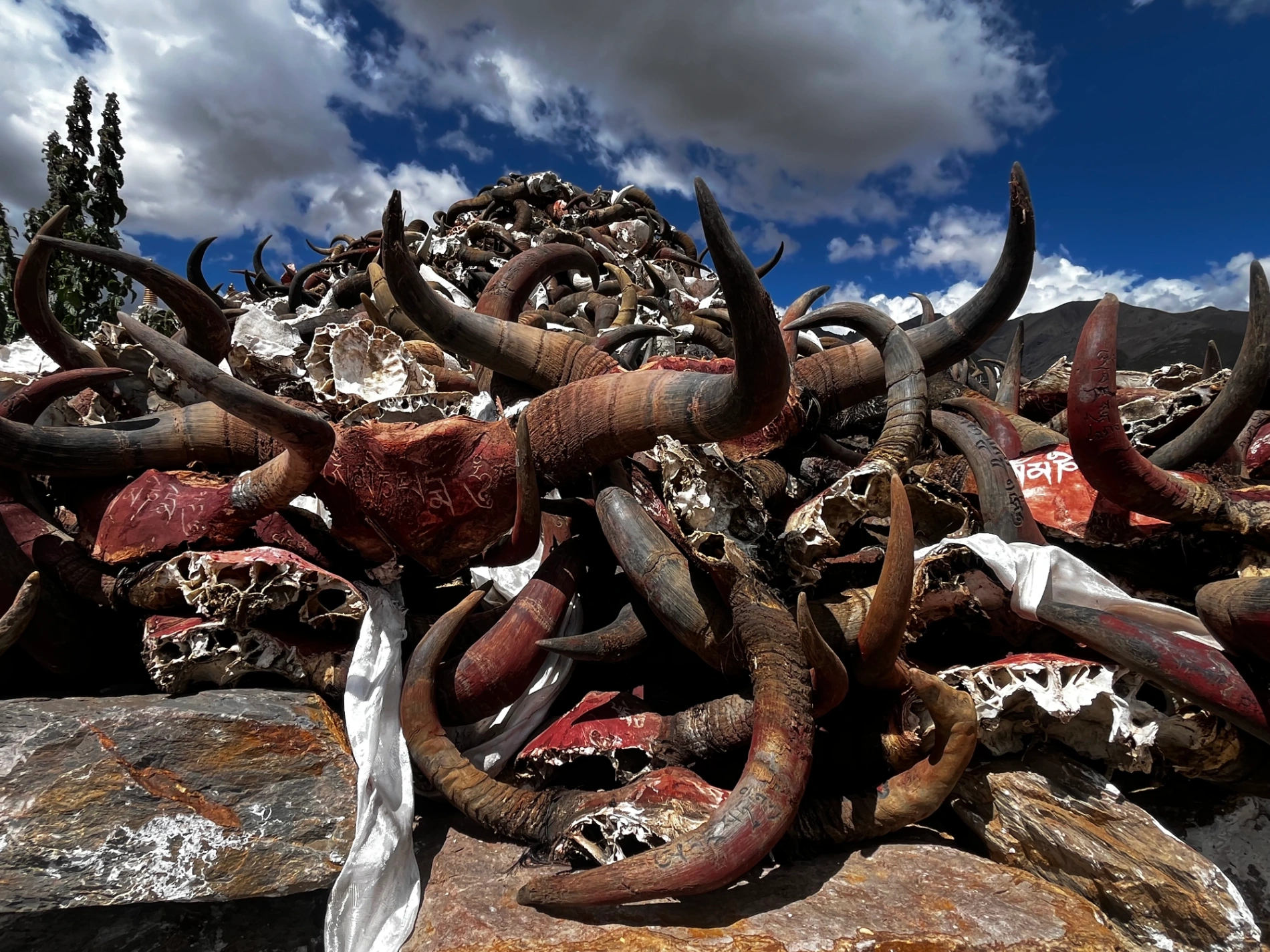 1764035000682 dmtt3d