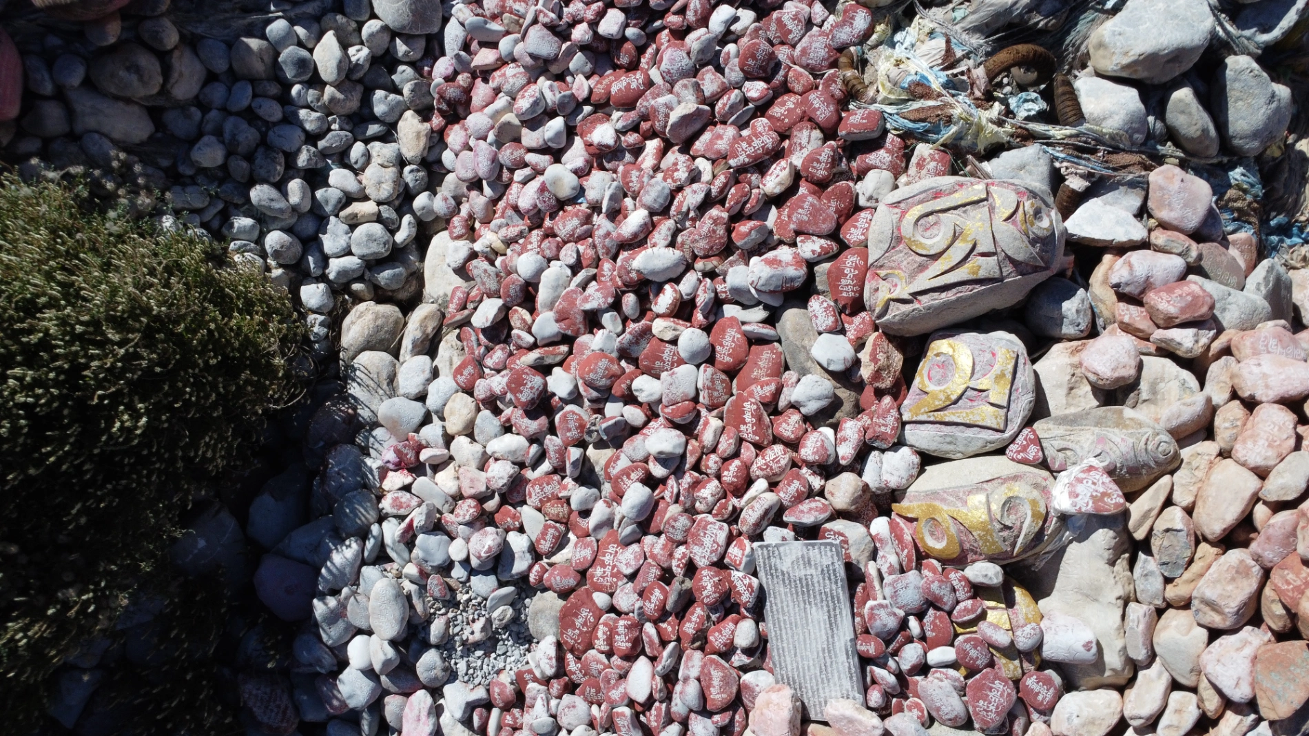 1764038876492 g21ycu