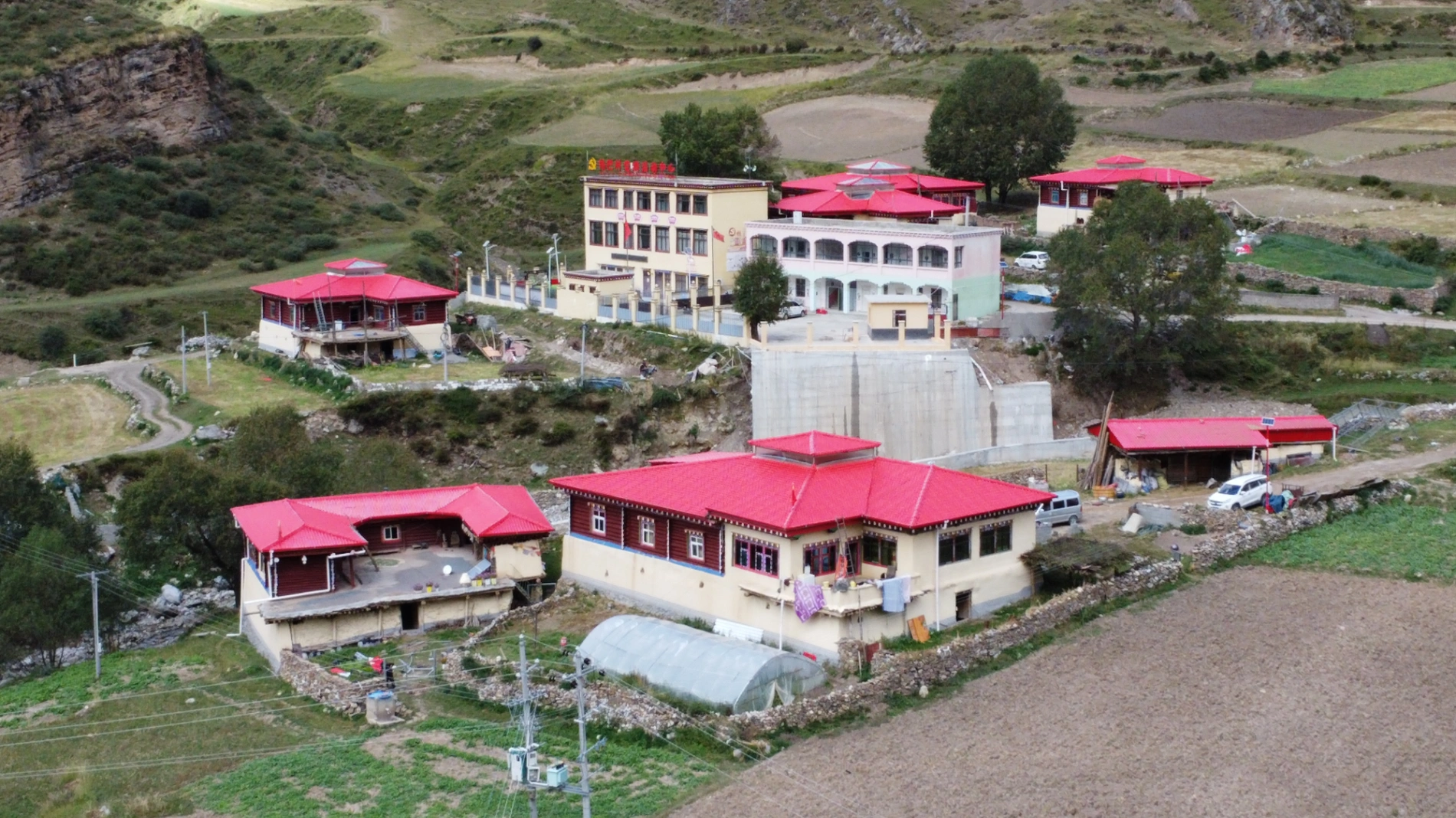 1764038961822 pbzt08