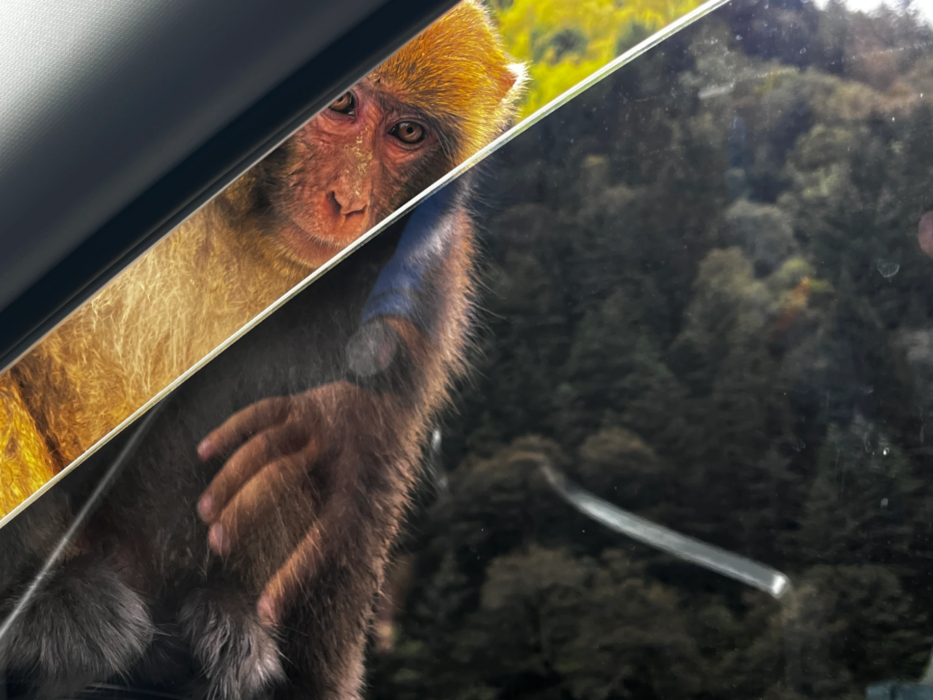 1764039282475 ehmq6a