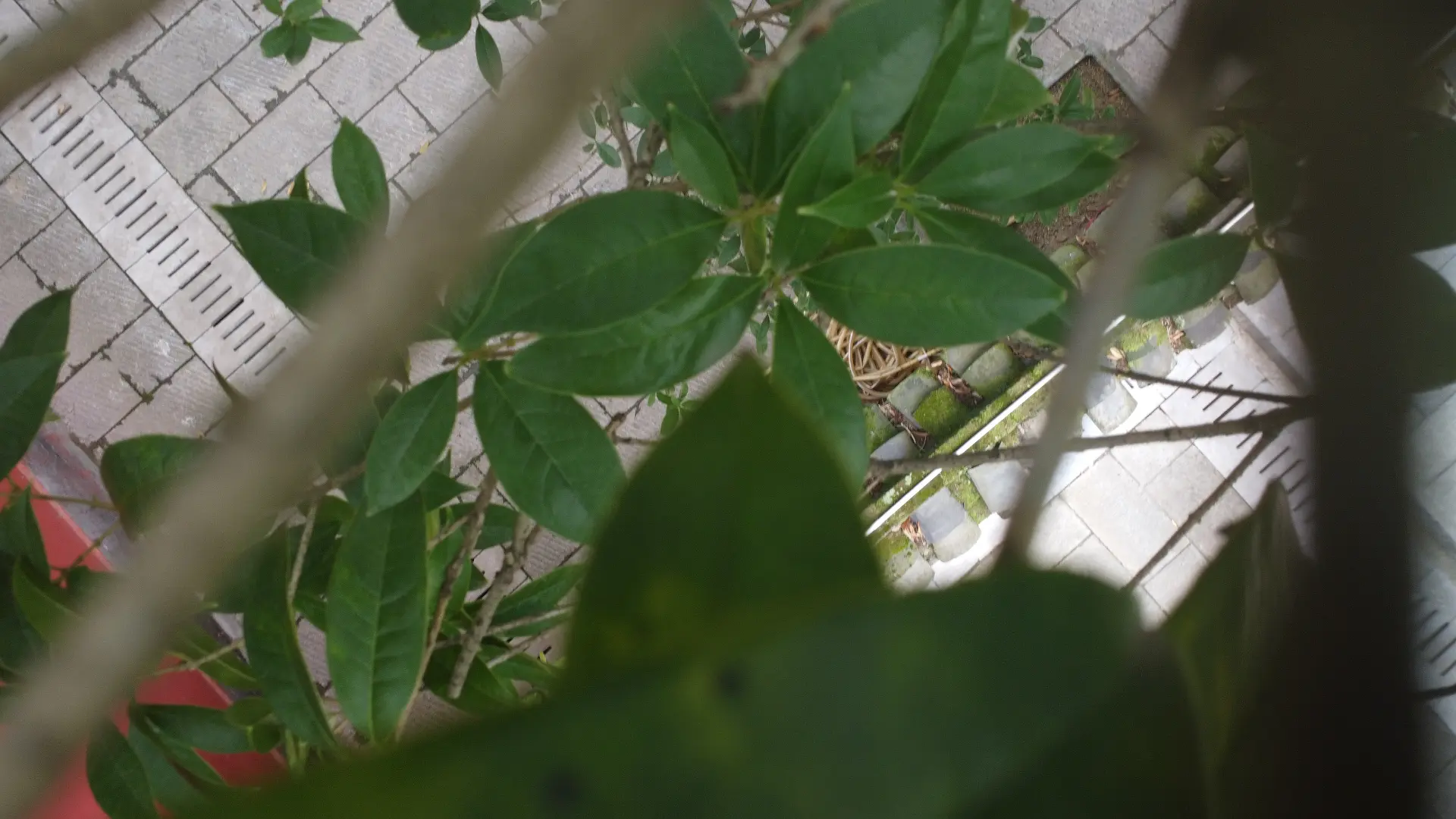 1764917650488 hgoymc